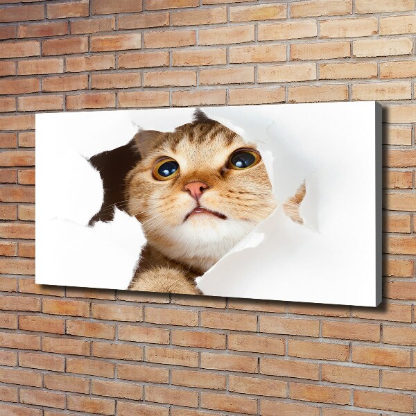 Wall art canvas large Cat in a hole