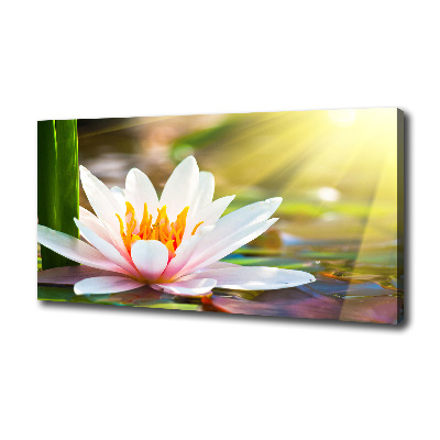 Canvas wall art water lily