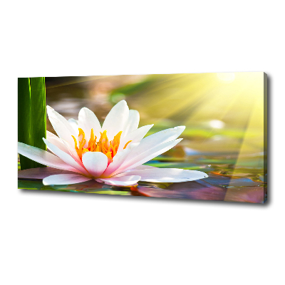 Canvas wall art water lily