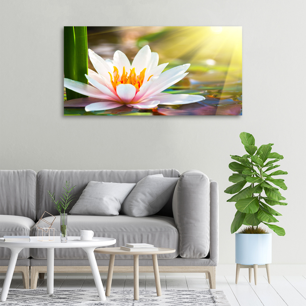 Canvas wall art water lily