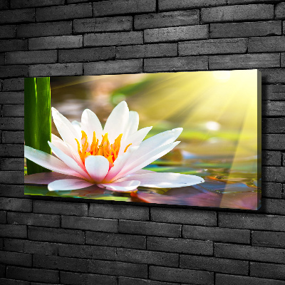 Canvas wall art water lily