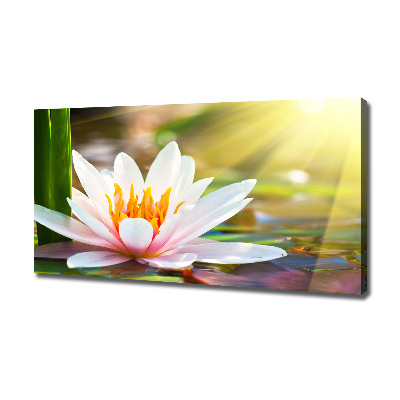 Canvas wall art water lily