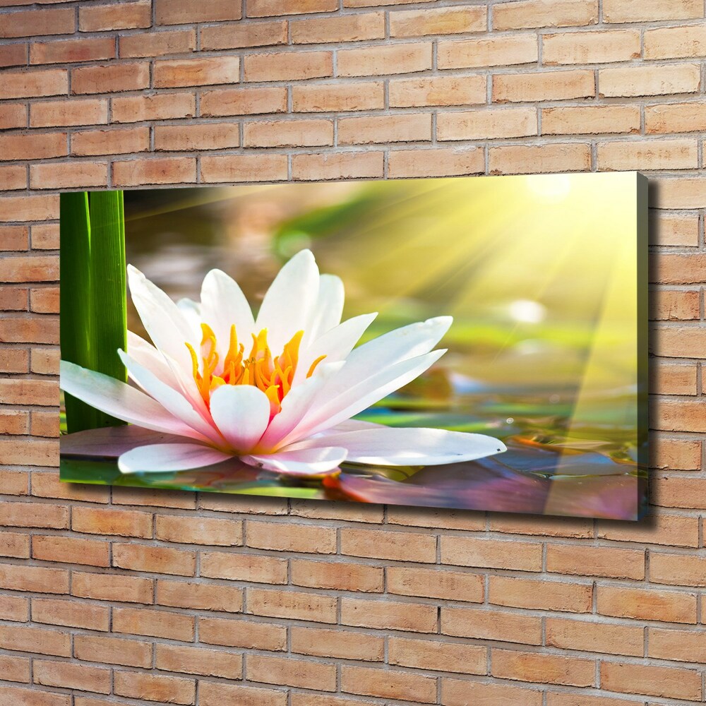 Canvas wall art water lily