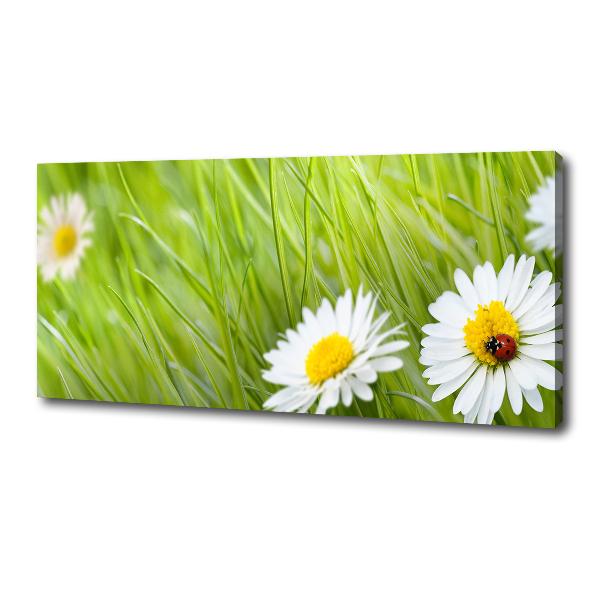 Canvas wall art Daisy