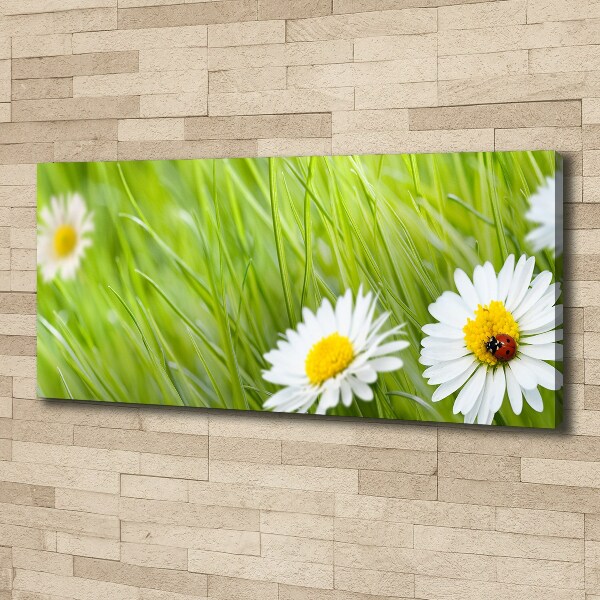 Canvas wall art Daisy