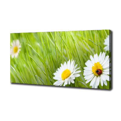 Canvas wall art Daisy