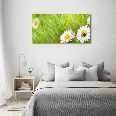 Canvas wall art Daisy