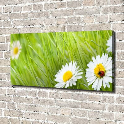 Canvas wall art Daisy