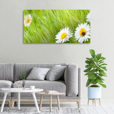 Canvas wall art Daisy