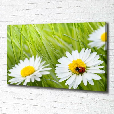 Canvas wall art Daisy