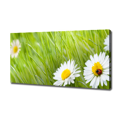 Canvas wall art Daisy