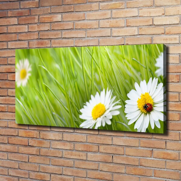 Canvas wall art Daisy