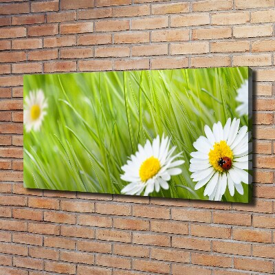 Canvas wall art Daisy