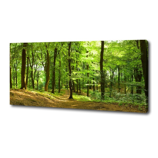 Canvas wall art Forest track