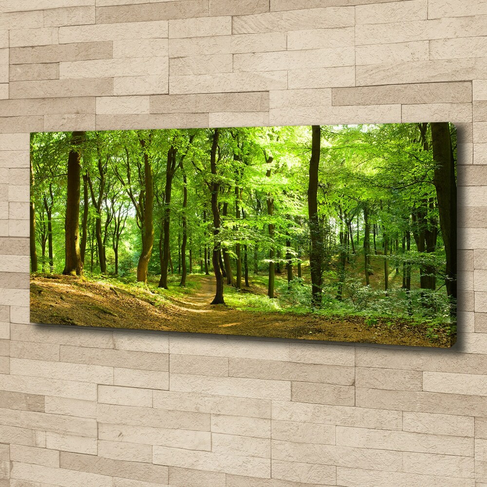 Canvas wall art Forest track