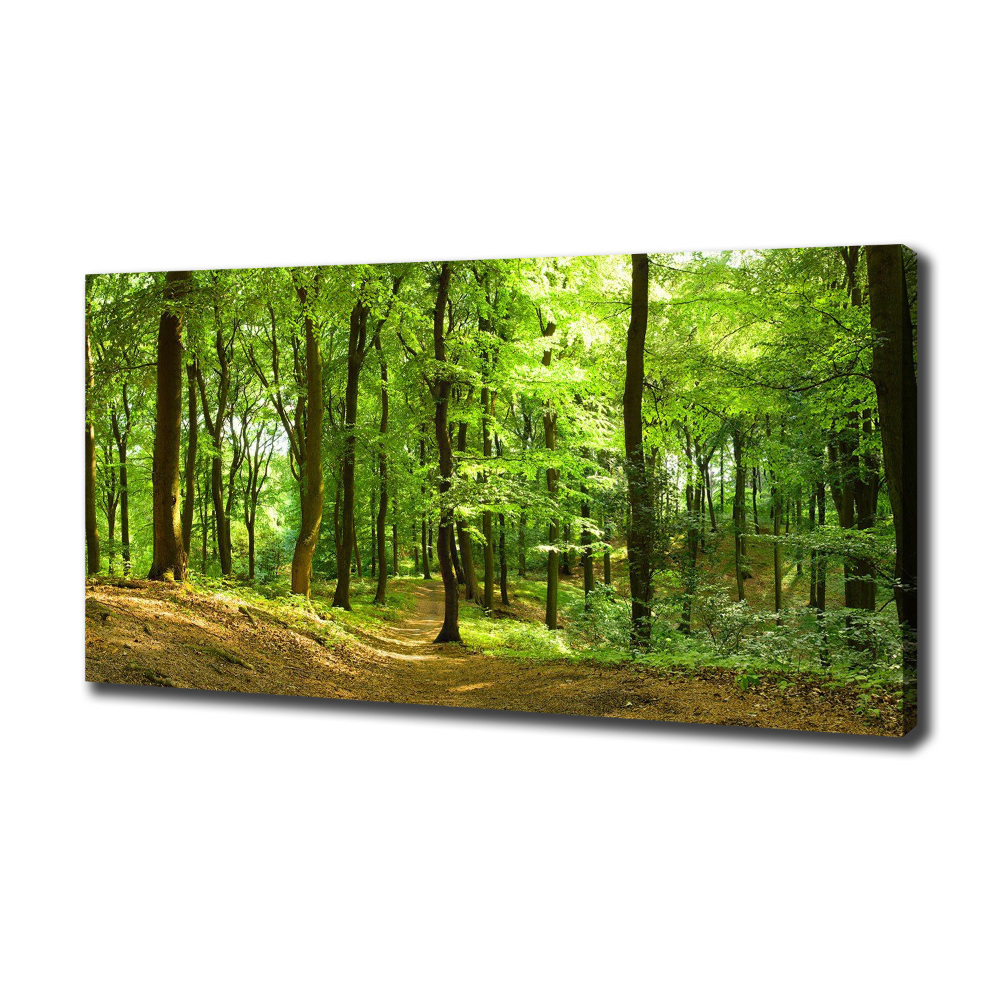 Canvas wall art Forest track