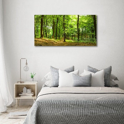 Canvas wall art Forest track