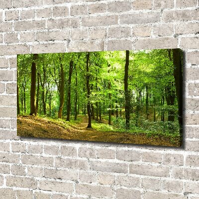 Canvas wall art Forest track