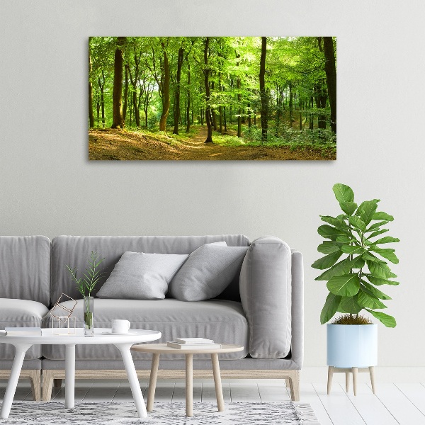 Canvas wall art Forest track