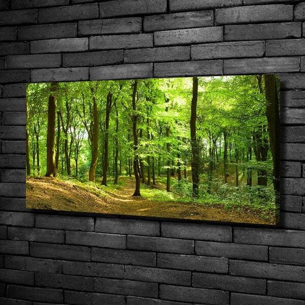 Canvas wall art Forest track