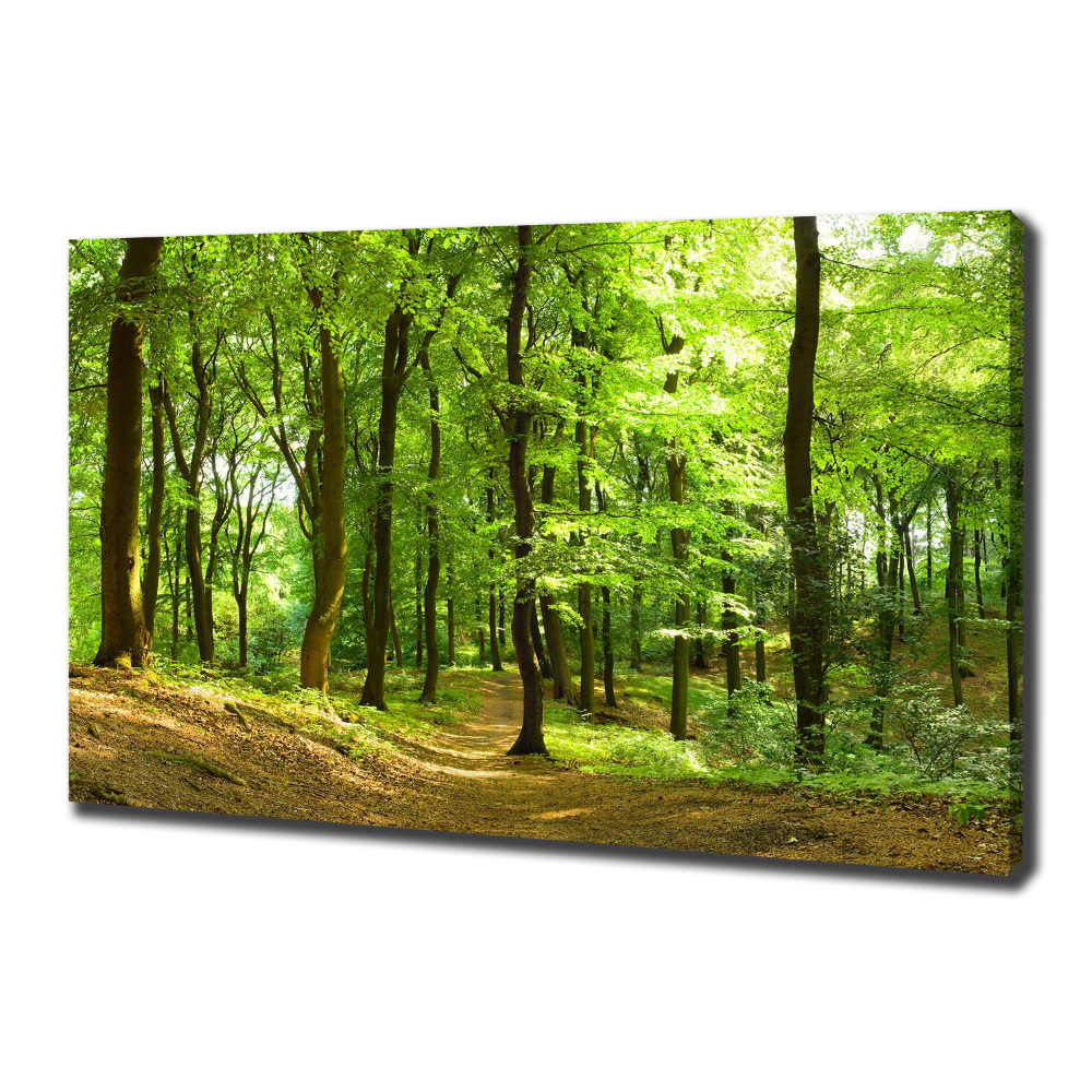 Canvas wall art Forest track