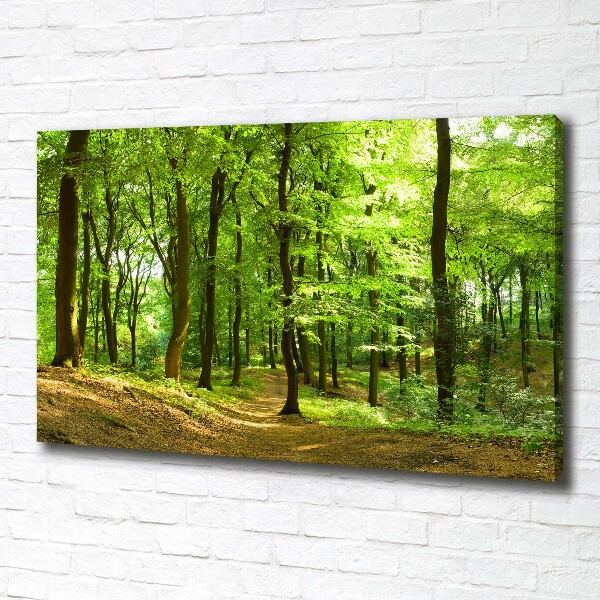 Canvas wall art Forest track