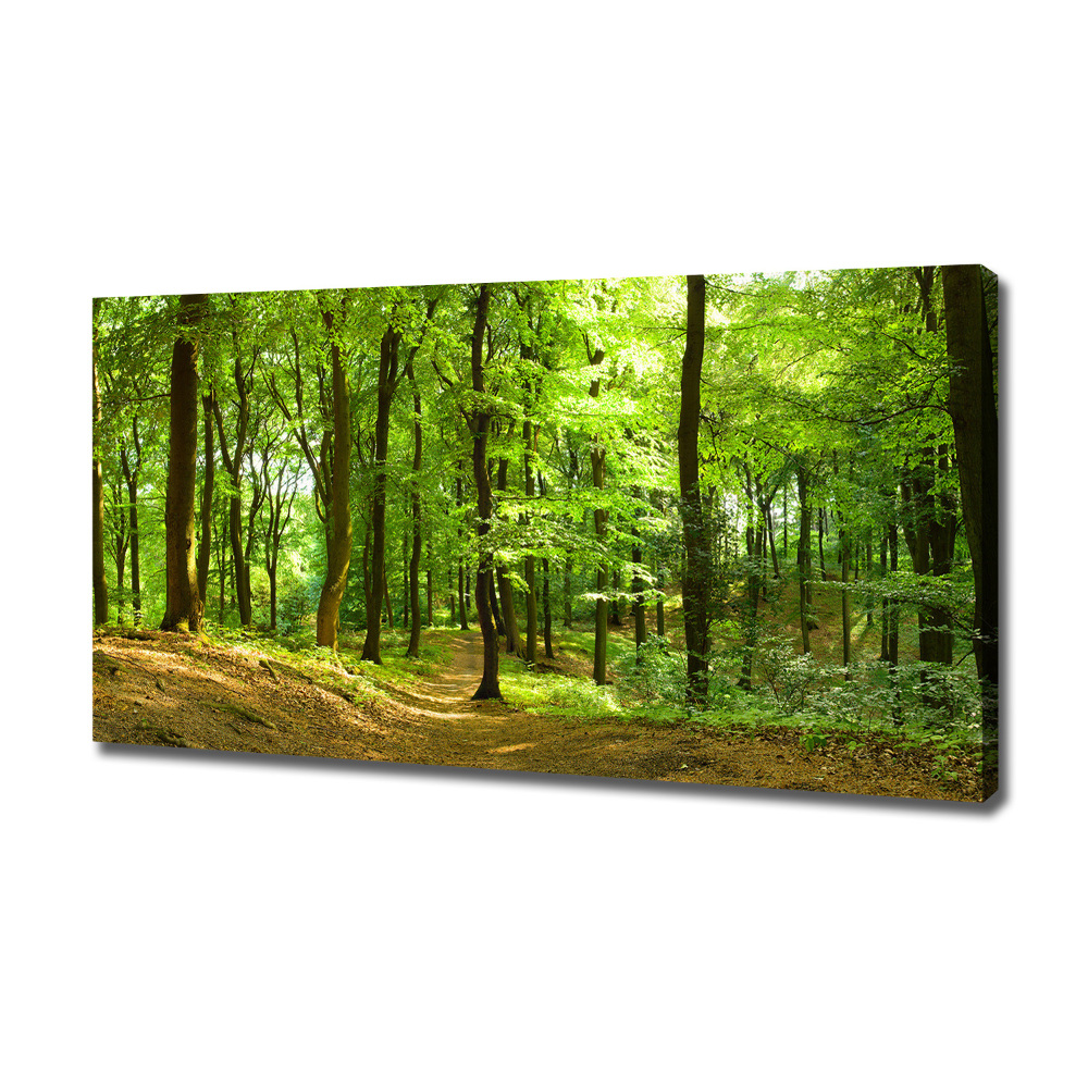 Canvas wall art Forest track