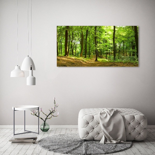 Canvas wall art Forest track