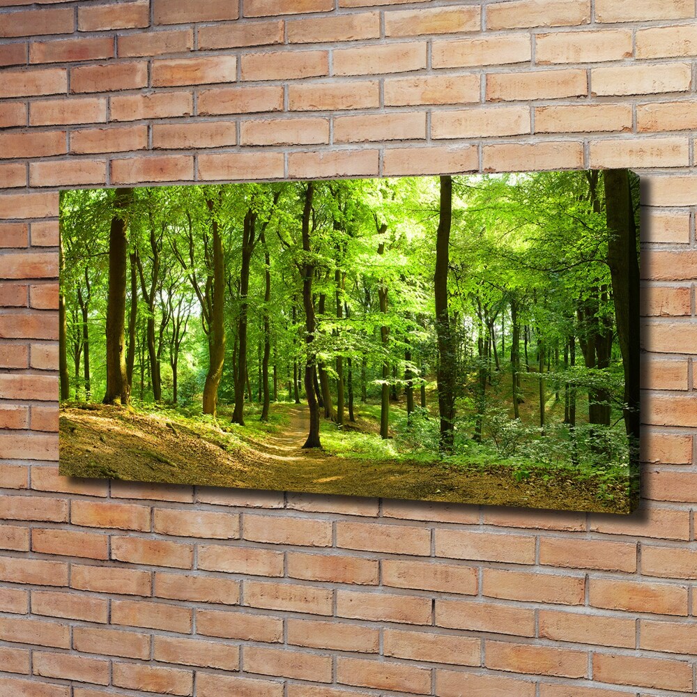 Canvas wall art Forest track