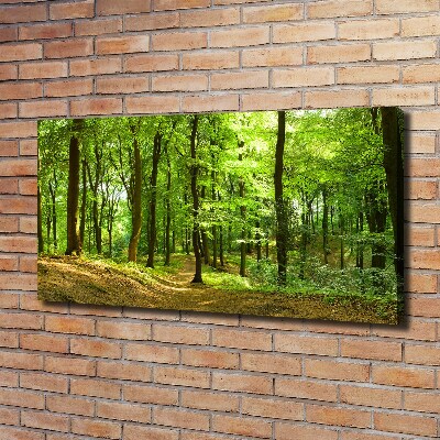 Canvas wall art Forest track