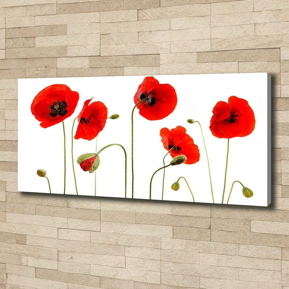 Canvas wall art Macs