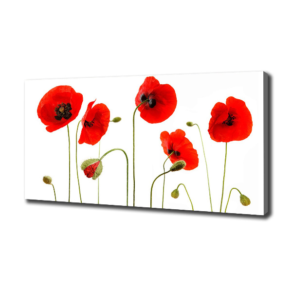 Canvas wall art Macs