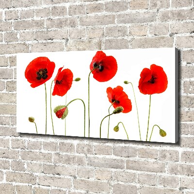 Canvas wall art Macs