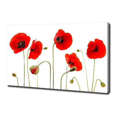 Canvas wall art Macs