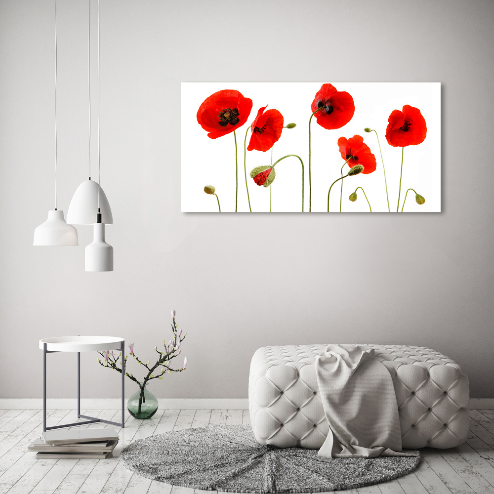 Canvas wall art Macs