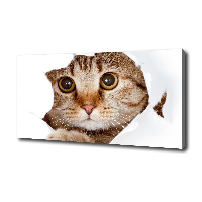 Canvas wall art Cat