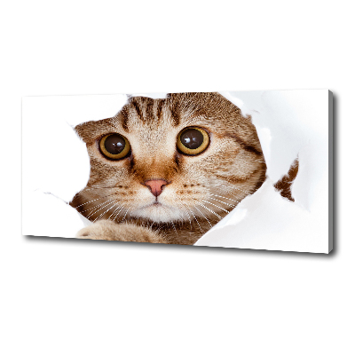 Canvas wall art Cat