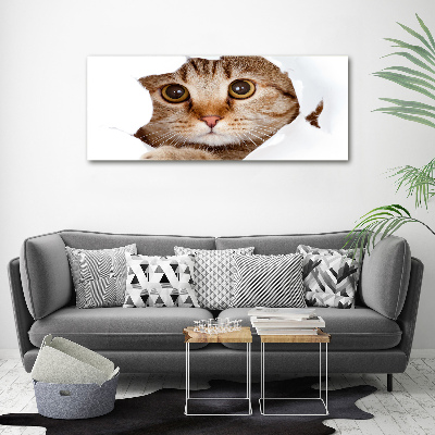 Canvas wall art Cat