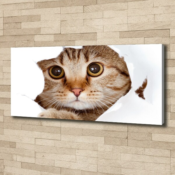 Canvas wall art Cat