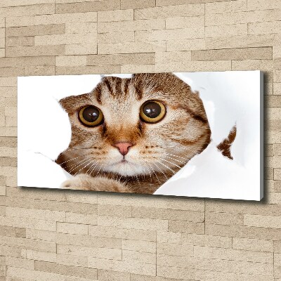 Canvas wall art Cat