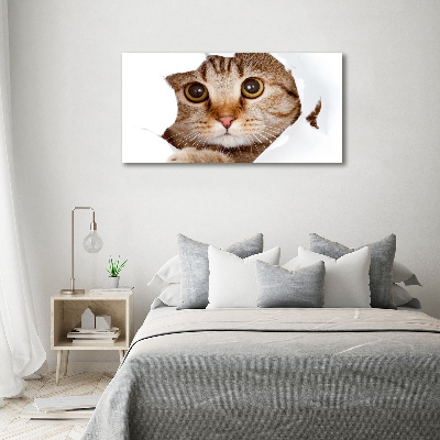 Canvas wall art Cat