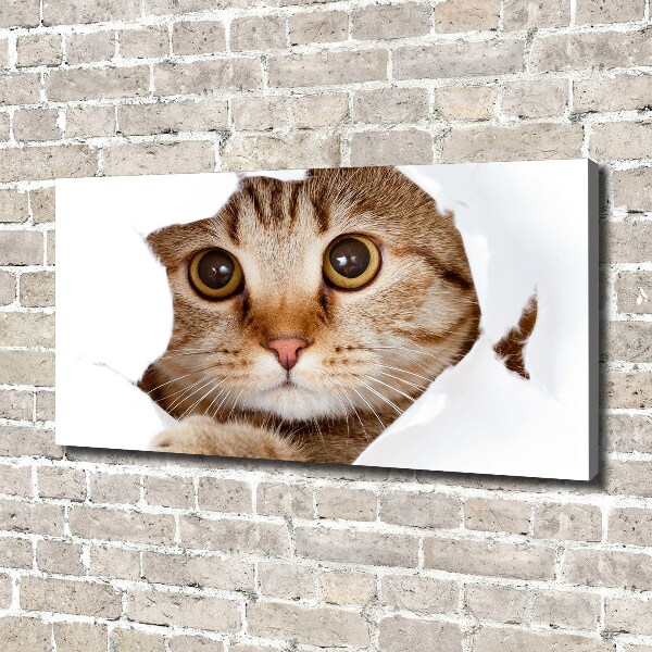 Canvas wall art Cat