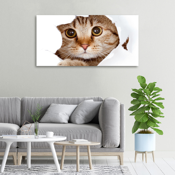 Canvas wall art Cat