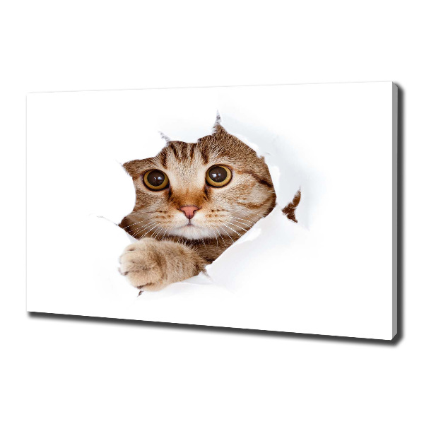 Canvas wall art Cat