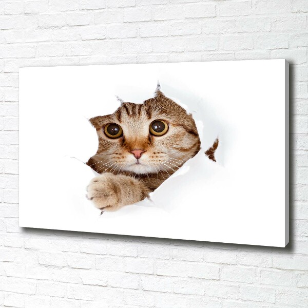 Canvas wall art Cat