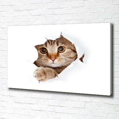 Canvas wall art Cat