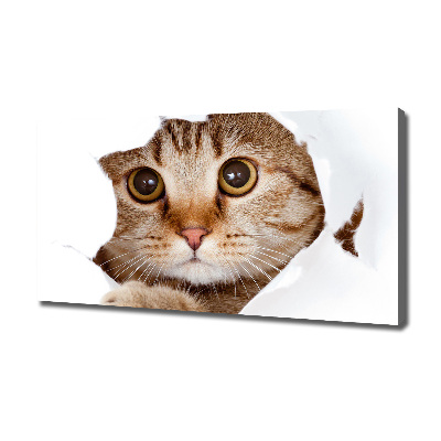 Canvas wall art Cat