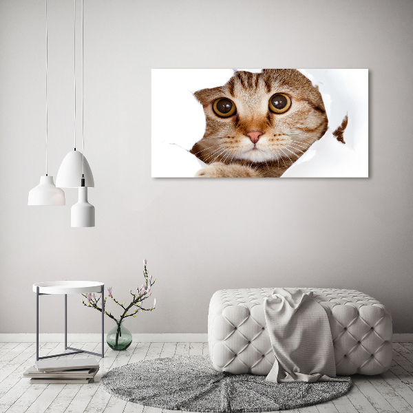 Canvas wall art Cat