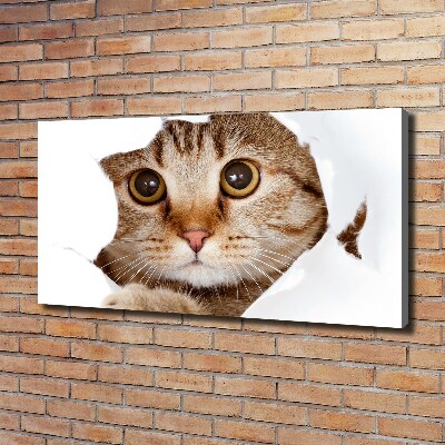 Canvas wall art Cat