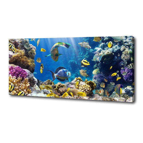 Canvas wall art Coral reef